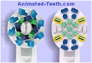 Picture comparison of the Oral-B Cross Action and Floss Action brush heads.