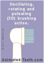 Animation of Oral-B's 3D oscillating/rotating/pulsating brushing motion.