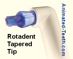 Picture of a Rotadent tapered brush head.