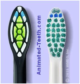 Pictures of Sonicare brush heads.