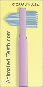 A picture of a denture brush.