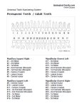 Tooth chart showing the numbers of all permanent teeth.