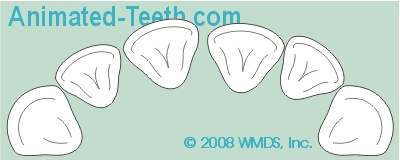 An animation showing how orthodontists close tooth gaps.