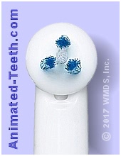 Picture of Oral-B Power Tip brush head.