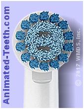 Picture of an Oral-B Sensitive brush head.