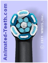Picture of an Oral-B Ultimate Clean brush head.