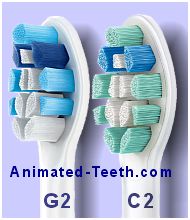Picture comparing Sonicare C2 and G2 Optimal brush heads.