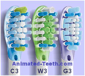 Picture comparing Sonicare C3, G3 and W3 Premium brush heads.