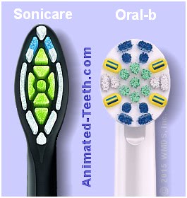 A picture comparison of Oral-b vs. Sonicare brush heads.