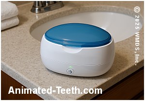 Picture of a UV denture santizing unit.