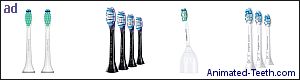 Pictures of Sonicare toothbrush brushheads.