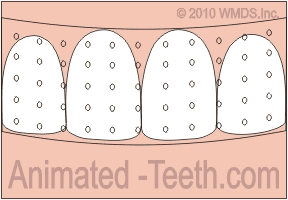 You should brush your teeth after removing your whitening strips (Crest Whitestrips).